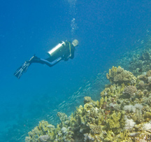 diver3