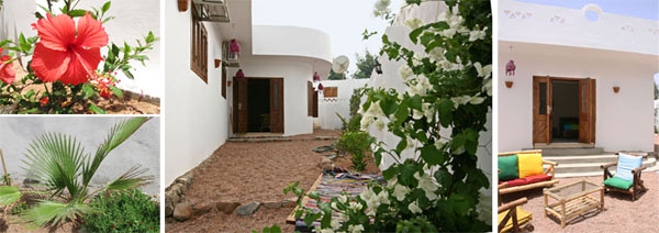Vakantiehuis Dahab tuin
