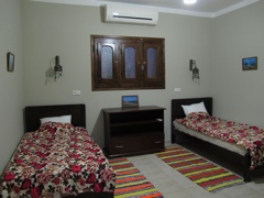 20120119-121543.jpg