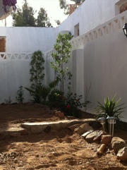 20120519-220306.jpg