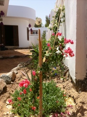 20120519-220319.jpg